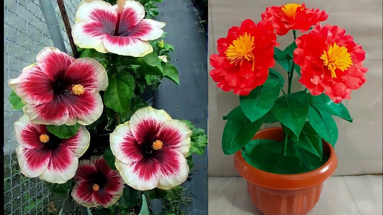 Как сделать красивый цветок из полиэтиленового пакета | Цветочные ремесла