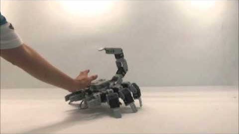 Gilbo & Robotis - Bioloid Premium Kit - Akrep www.robotsepeti.com www.gilbo.com.tr