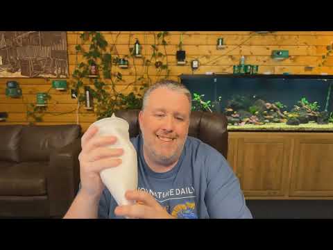 Tank Size Matters - Get the most out of your budget - Live Stream