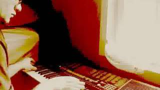 lunar organ.flv