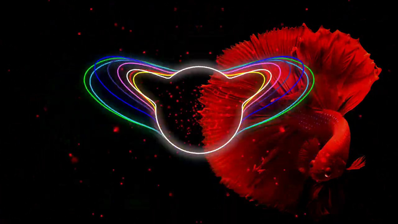 🐦 Baribal & Pold - Lockdown by Pold 🐦