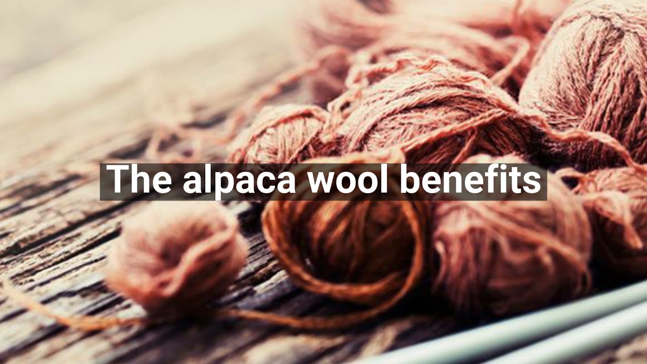Is alpaca wool hypoallergenic?