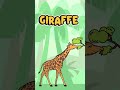 Learn Jungle Animals for Kids 🦁🐒 Fun & Easy! (Part 2) #animals #learning #learnenglish #kids