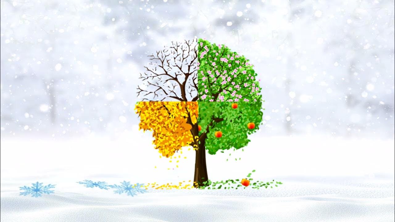 Пейзаж по временам года. Футаж времена года. Четыре времени года на одной картинке. Зима,весна,лето,осень. Футаж времена года.