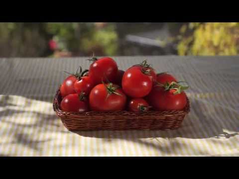 How Ripen Tomatoes Fast!