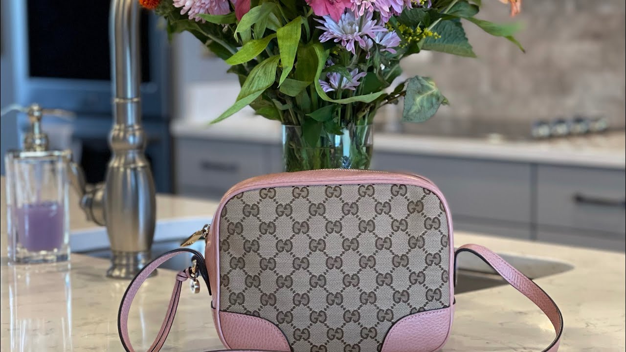 🌸The Power of the Pink🌸 Gucci Bree GG •VS• Louis Vuitton V Tote