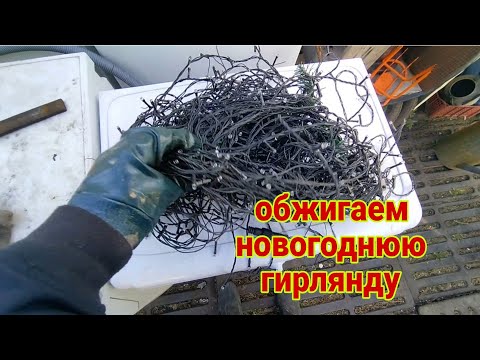 Видео: очередной вывоз мусора, что интересного можно найти!?