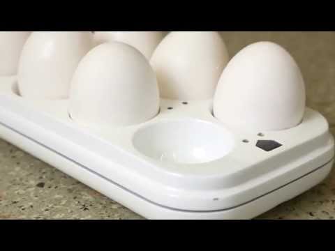 Introducing Egg Minder by Quirky