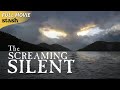 The Screaming Silent | Found Footage Horror | Full Movie | Tasmania, Australia