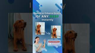Optimize Images Without Losing Clarity | Online Tools Master #onlinetools #onlinesafety #browserling
