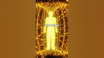 How to calculate a lifepath - Numerology basics #gg33 #numerology #lifepath #astrology