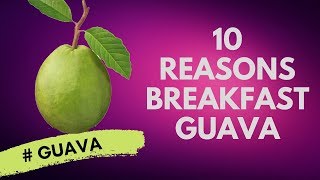 10 Reasons To Eat Breakfast Guava | Eating Breakfast With Guava | Mini Health Tips