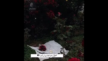 آيات من القرآن الكريم بصوت هادئ وجميل|| (ادخلوها بسلام آمنين) Verses from the Qur'an