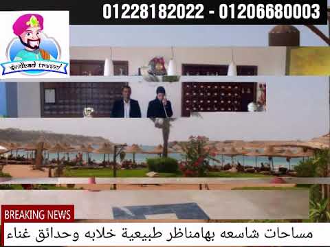 ريجنسى بلازا خليج نبق شرم الشيخ اكوا بارك سبا