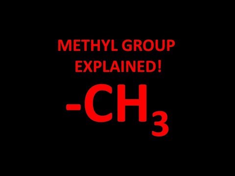 Methyl functional group explained!