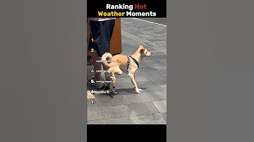 DO NOT CHECK THE SOUND 😭😭