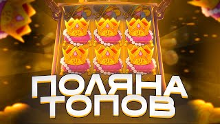 :       1000   MR. TREASURES FORTUNE /   