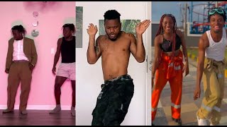 Elena Tiktok Dance Challenge🤩| Brk Beatz ft Fally Ipupa Resimi