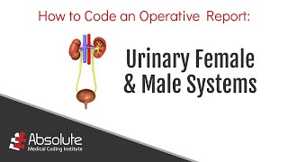 Learn How to Code an Operative Report: Urinary Male/Female Systems