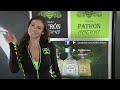2013 Mosport - Preview - ALMS - Tequila Patron - ESPN - Sports Cars - Racing