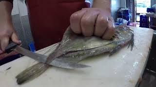How to fillet a Dory