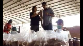 Travel Safe and Save with PETRONAS PRIMAX 95 XTRA : Ep.2- Tanjung Sepat