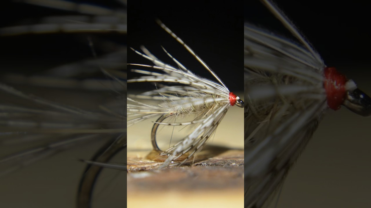 March Brown Soft Hackle 