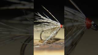 March Brown Soft Hackle #flyfishing #flytying #catchandrelease