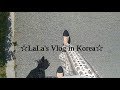 【KOR】한국일상:日本人主婦の韓国日常Vlog♯026 ギター練習、家事、公園、韓定食、娘とショッピング、お弁当