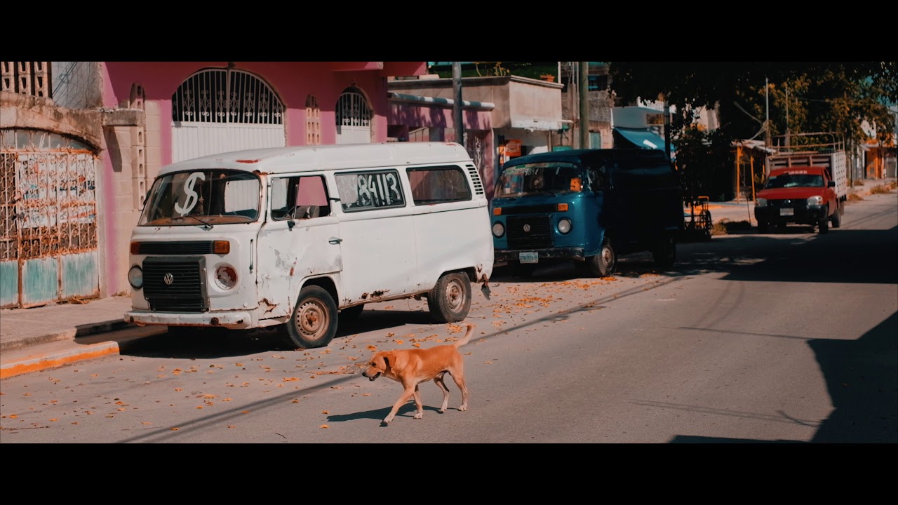 Fuji X-T20 Cinematic - Dogs of Carmen