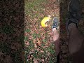 How to punt a pumpkin (Full Tutorial)