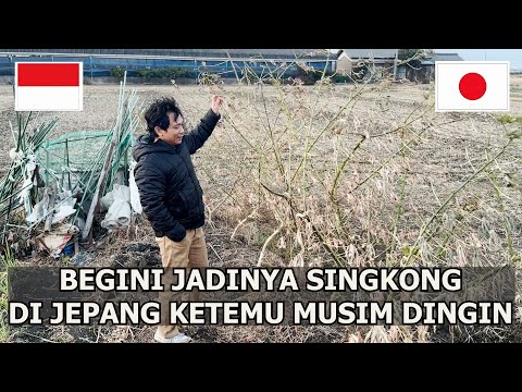 Ain Syakirah \u0026 Fara Insyirah - Ku Kunci Rindu Buatmu (Official Music Video)