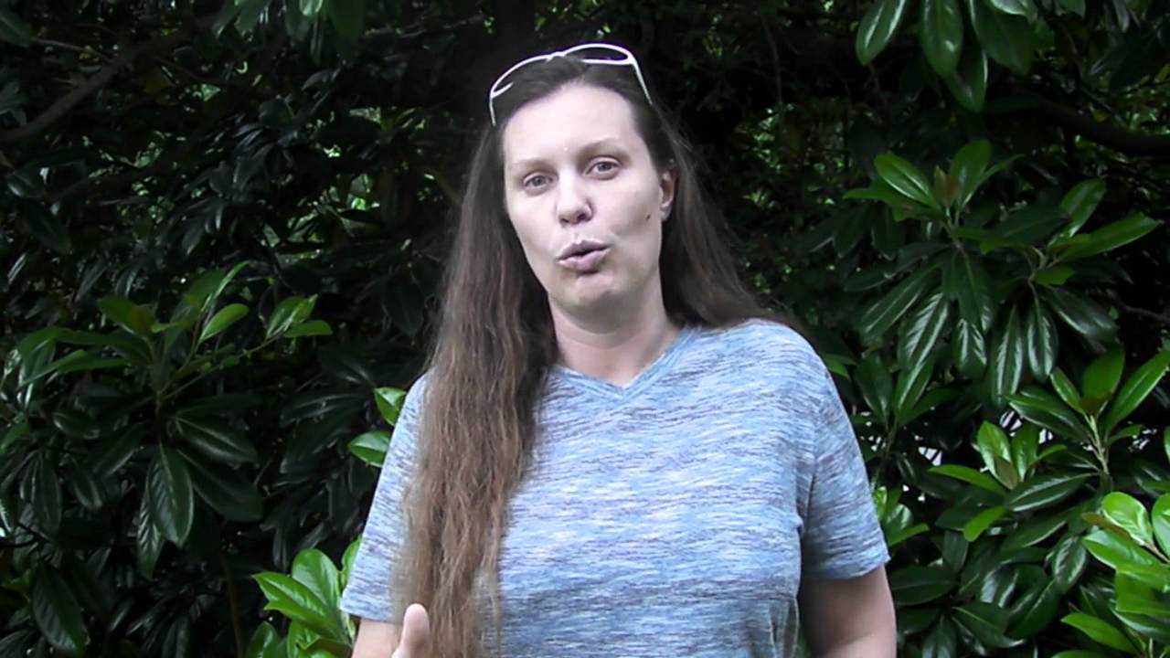 Weekend Update Lisa Herald YouTube weekend-update-lisa-herald-youtube