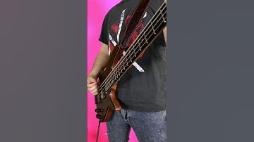 How to get Krist Novoselic