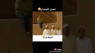 أقول يامصطفى تحب الحمام 🤣 مابطيئو 😂