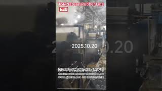 🔥Real Footage: Inside a Natural Rubber TSR Factory | Watch the Complete Production Line in Action✨