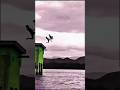 Terbela dam water jumpind vodeo#all pakistan made light this dam#remix #phonkmusic #music #foryou