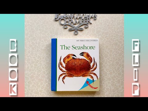 BOOK FLIP | #13 THE SEASHORE | MY FIRST DISCOVERIES (MFD)