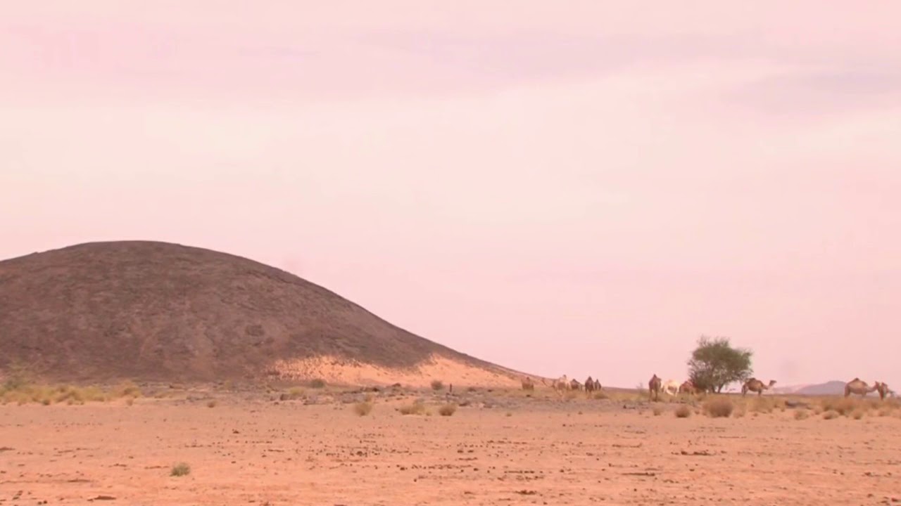 الخليفه ايده شريط لبتيت