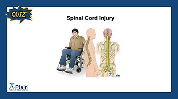 Spinal Cord Injury - Quiz