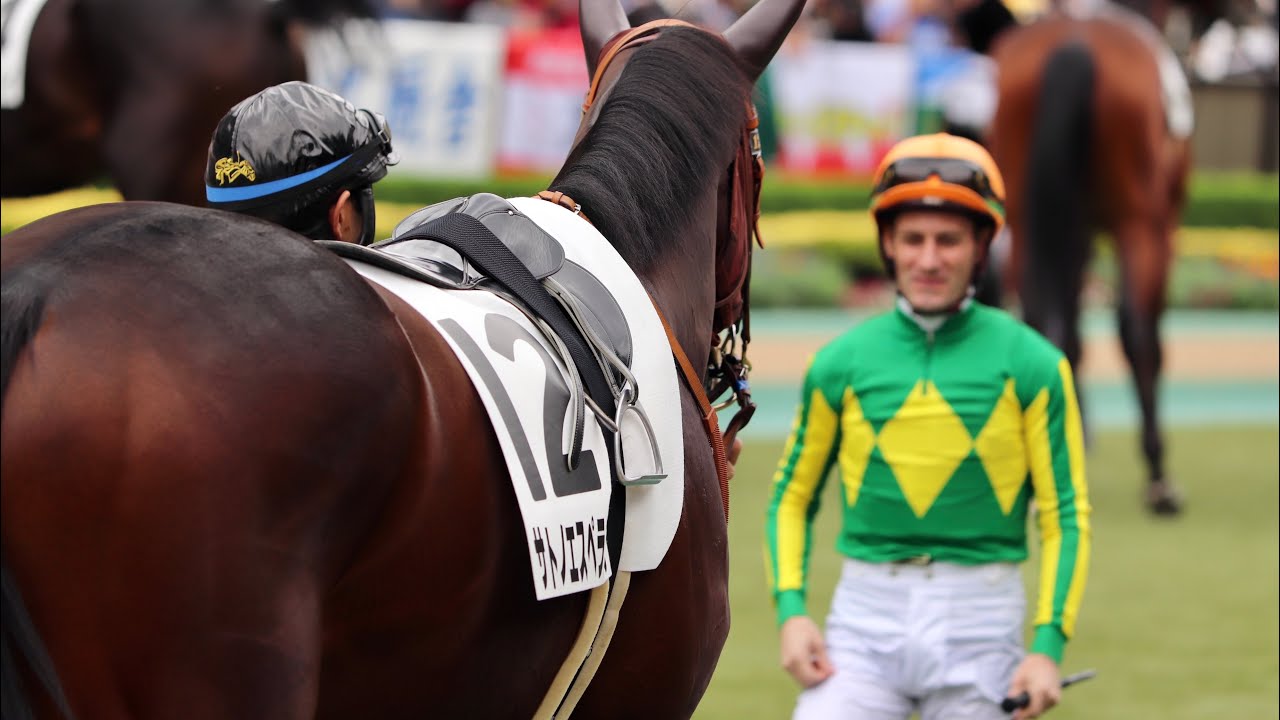 HOT HOLIDAYS！ 2019 【非公式】