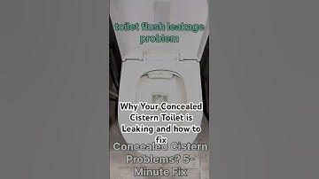 Concealed Cistern Problems 5-Minute Fix toilet flush