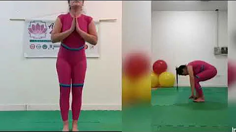 Campeonato Santafesino de Yogasasnas Deportivo. Pa...