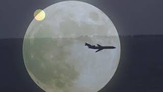 Roy Mor - The Echo Song - רועי מור שיר ההד