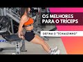 MELHORES EXERCÍCIOS livres para o TRÍCEPS