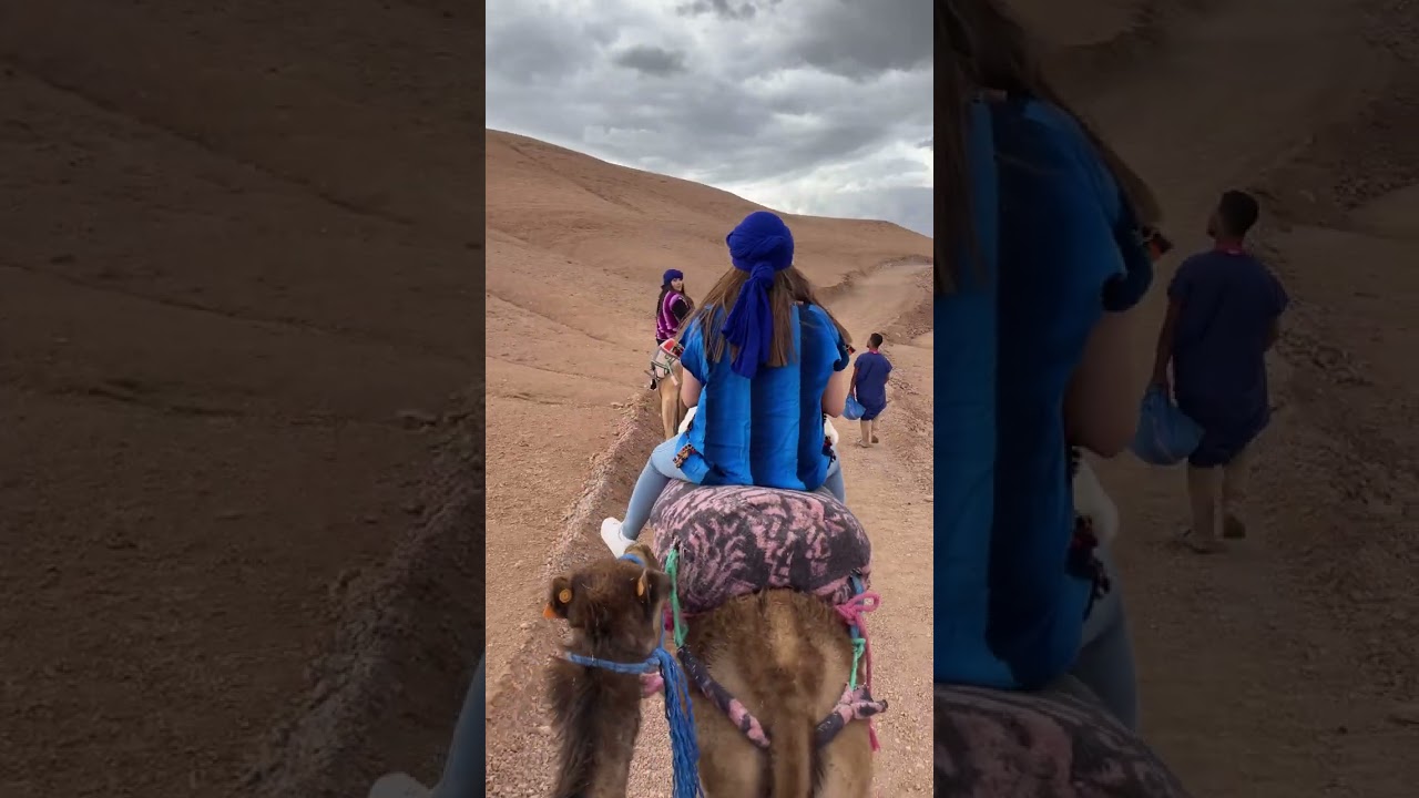 Camel Ride and Moroccan Tea | Morocco Shorts