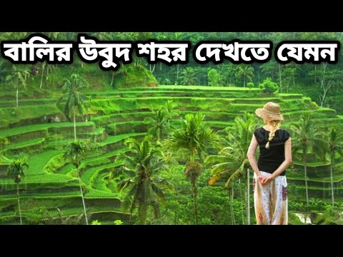 ভিডিও: উবুদ বালি টিপস: উবুদে যাওয়ার আগে কী জানতে হবে