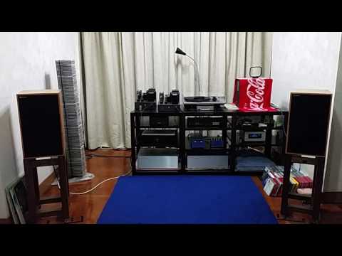 暴風一族Remix