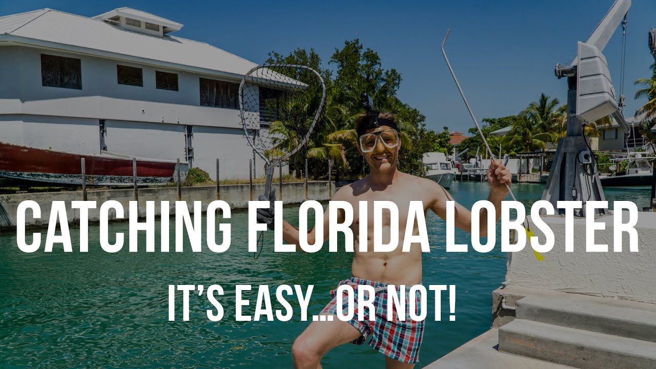 Catching Florida Lobster is Easy…or NOT!