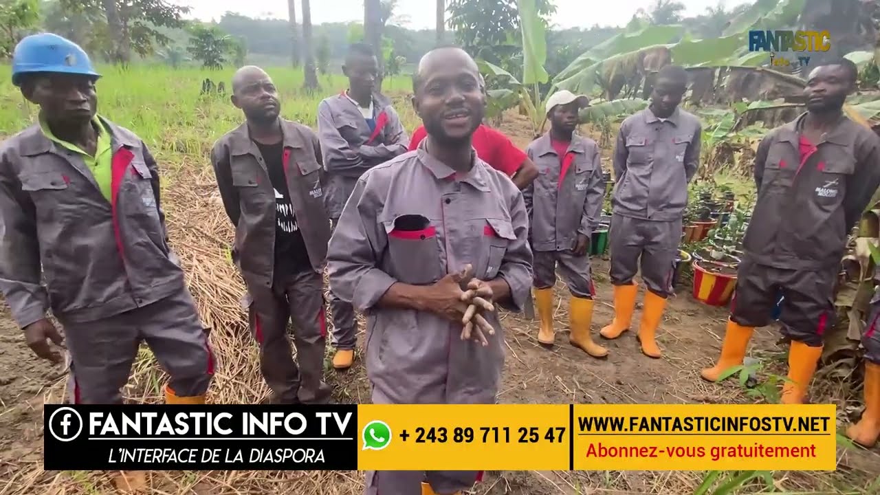 Jai 46 hectares avec 5000 safoutiers au Kongo central Paty Malongo lexemple  suivre